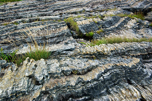 blue rocks and grass abstract stock photo