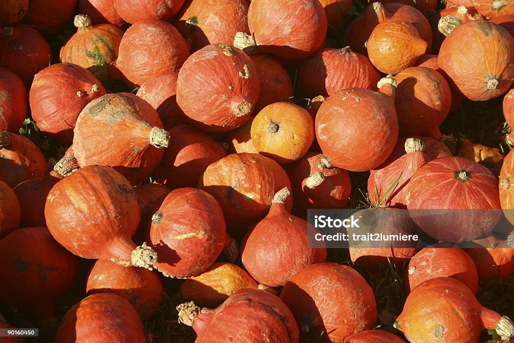 Pila di pumpkins - Foto stock royalty-free di Affettare il cibo