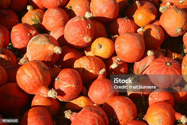 Pila Di Pumpkins - Fotografie stock e altre immagini di Affettare il cibo - Affettare il cibo, Agricoltura, Allegro