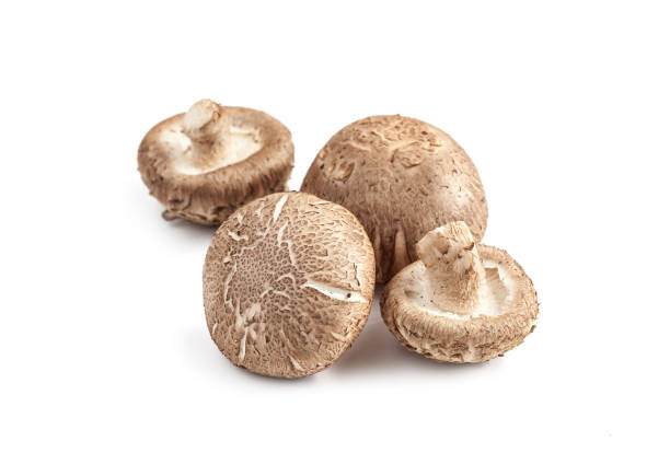 istock shiitake mushroom asian organic food isolated on white background 901604792