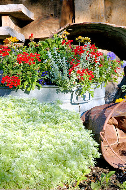 istock Buckets of Color 90161186