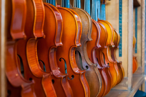 Row of violins on display rack in natural light