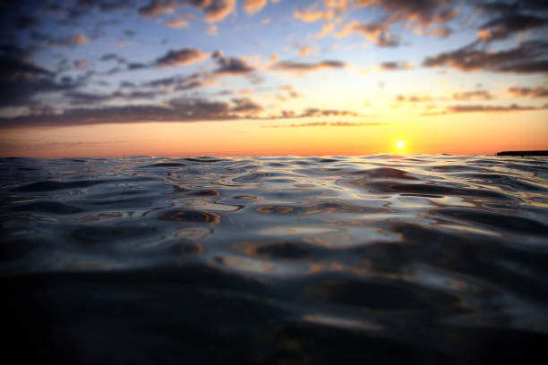 istock Sunset at the sea 901615108