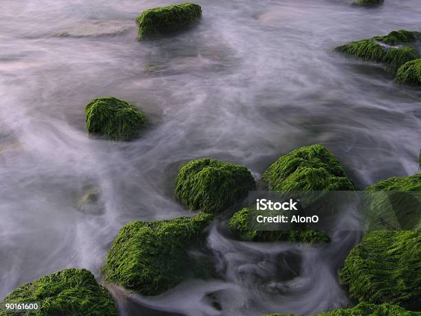 Grünes Rocks Stockfoto und mehr Bilder von Alge - Alge, Dunkel, Farbbild