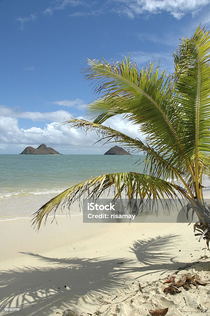 Mokulua Îles série de Lanikai, Oahu - Photo de Destination de voyage libre de droits