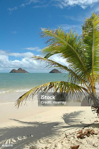 Photo libre de droit de Mokulua Îles Série De Lanikai Oahu banque d'images et plus d'images libres de droit de Destination de voyage - Destination de voyage, Deux objets, Eau