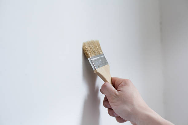 istock Painter painting the white wall in house 901617434
