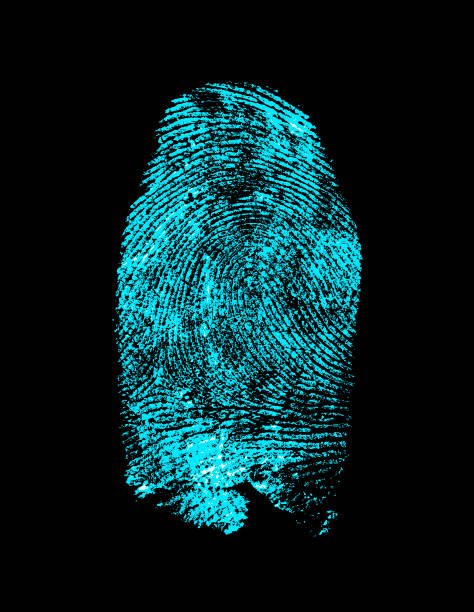 istock Fingerprint on black background. Fingerprint with ultraviolet lamp. 901617986