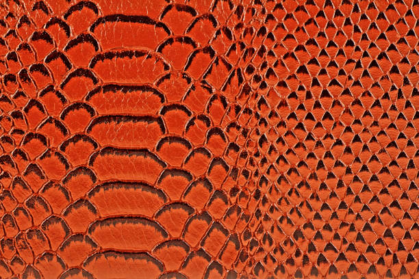 istock Brown snake skin, as background. Reptile. 901618274