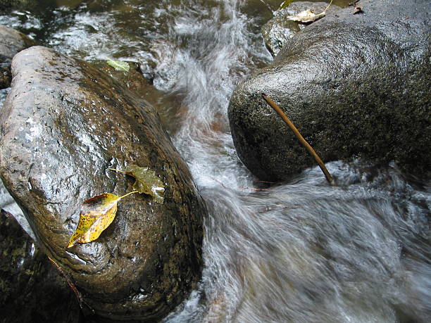 Rocks In Creek #2  sooth stock pictures, royalty-free photos & images