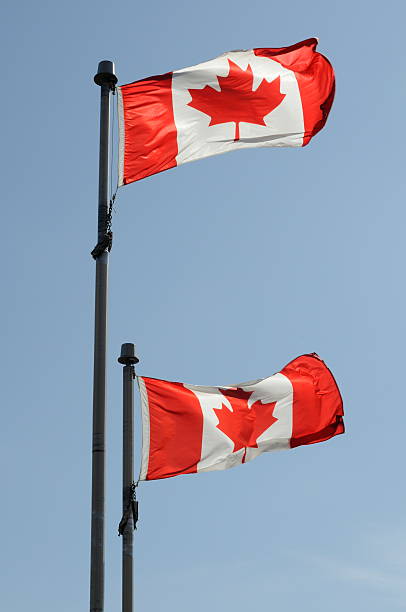 istock Two Canadian flags ripple in the wind. 90162100
