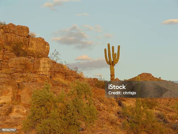 Photo libre de droit de Florence En Arizona banque d'images et plus d'images libres de droit de Cactus - Cactus, Ciel, Coucher de soleil