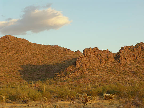 istock Florence, Arizona desert 90162201