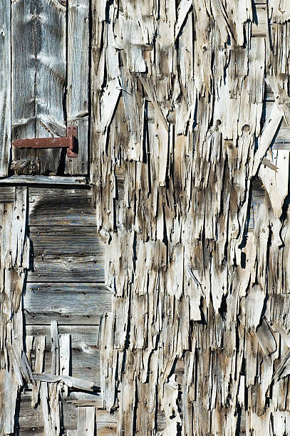 weathered door and shingles stock photo