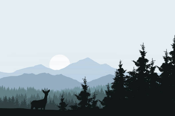 Realistic vector illustration of mountain landscape with forest, deer and eagle Realistic vector illustration of mountain landscape with forest, deer and eagle winter silhouettes stock illustrations
