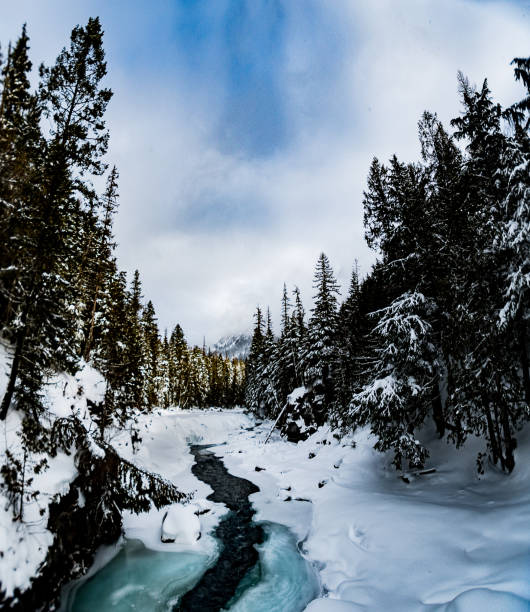 istock Glacier National Park in Winter 901622948