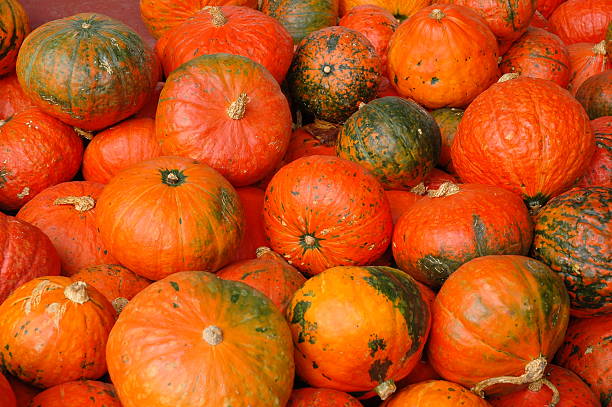istock Orange and Green Mini Pumpkins 90162365