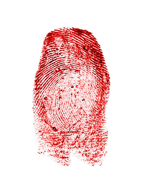 istock Red fingerprint on white paper 901625232