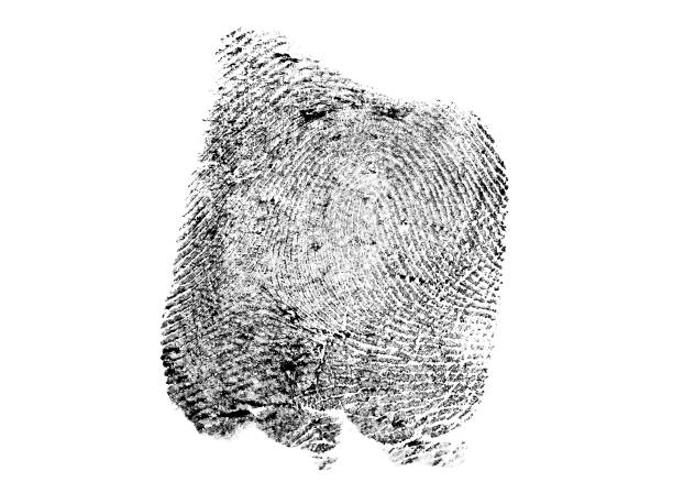 istock Black ink fingerprint isolated on white background 901625366