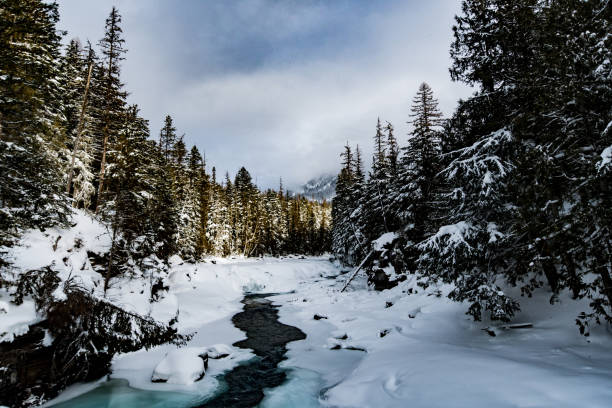 istock Glacier National Park in Winter 901625516