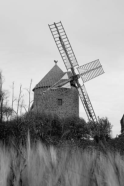 windmühle - flabellum stock-fotos und bilder
