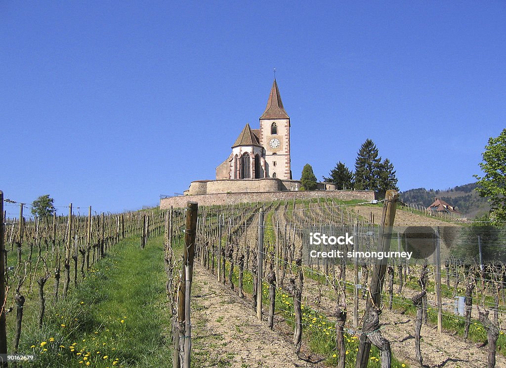 Vinhedo na trilha do vinho francês - Foto de stock de Agricultura royalty-free