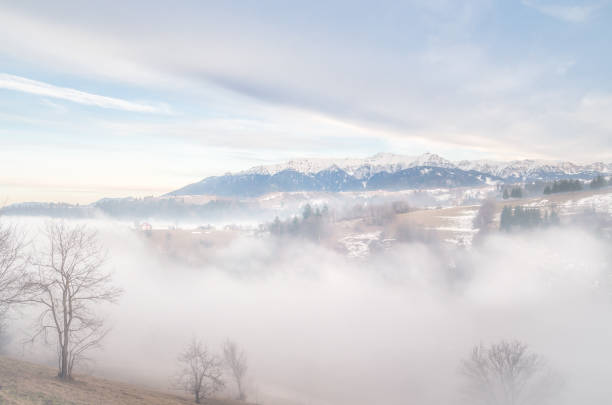 istock Winter landscape in the mountains 901627428
