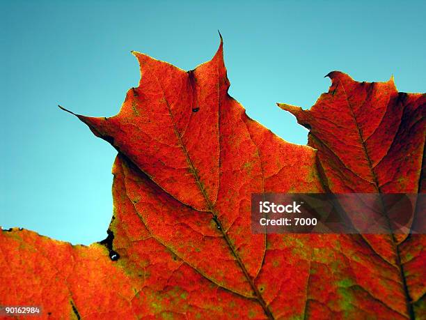 Foto de Cores Do Outono e mais fotos de stock de Abstrato - Abstrato, Amarelo, Antigo