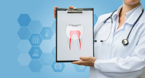 istock Doctor dentist showing tooth model . 901633818
