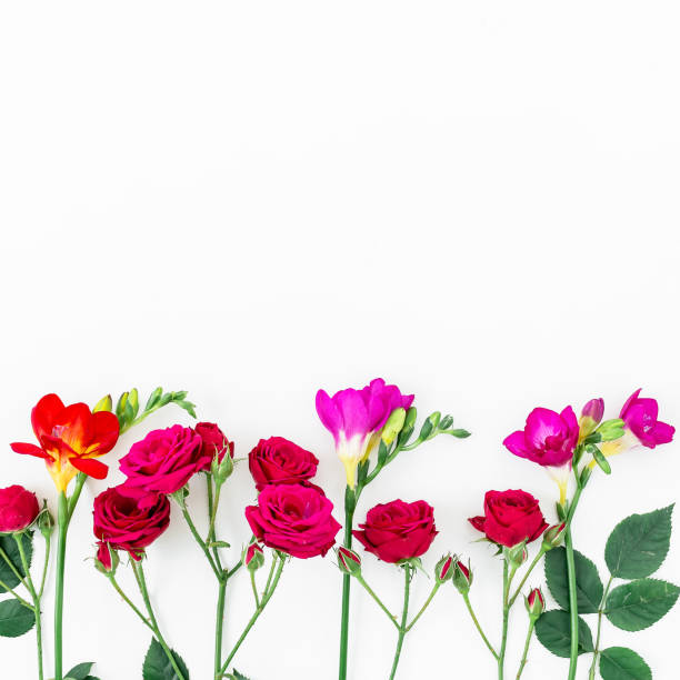 istock Pattern with beautiful flowers isolated on white background. Flat lay, Top view. 901634248