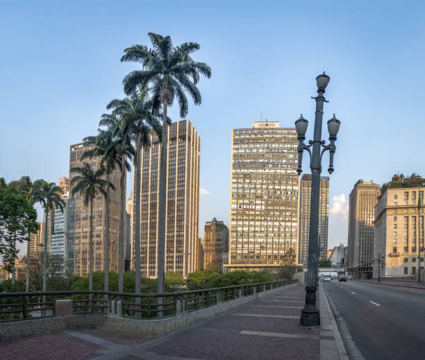 istock Cha Viaduct (Tea Viaduct) - Sao Paulo, Brazil 901634446