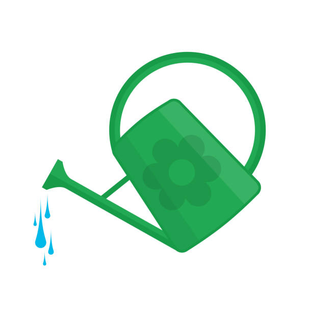 Watering Can Icon Stock Illustration - Download Image Now - Watering Can, Cartoon, Computer Graphic - iStock Watering Can Icon Stock Illustration - Download Image Now - Watering Can, Cartoon, Computer Graphic - iStock