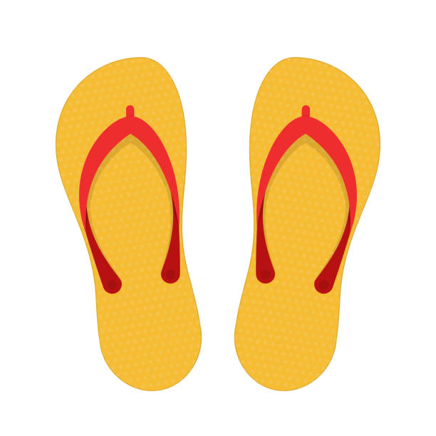 ilustrações de stock, clip art, desenhos animados e ícones de beach slippers illustration. - slipper beach backgrounds sea