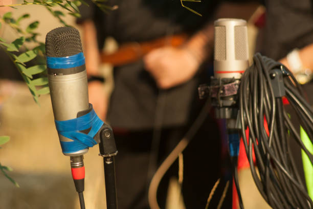 istock Microphone on the stand on the nature 901635048