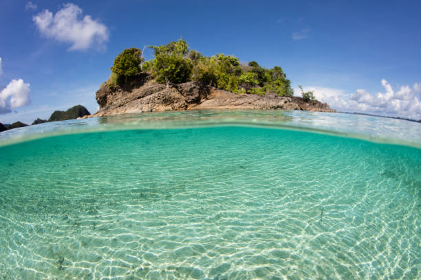 istock Tropical Island in Raja Ampat 901635380