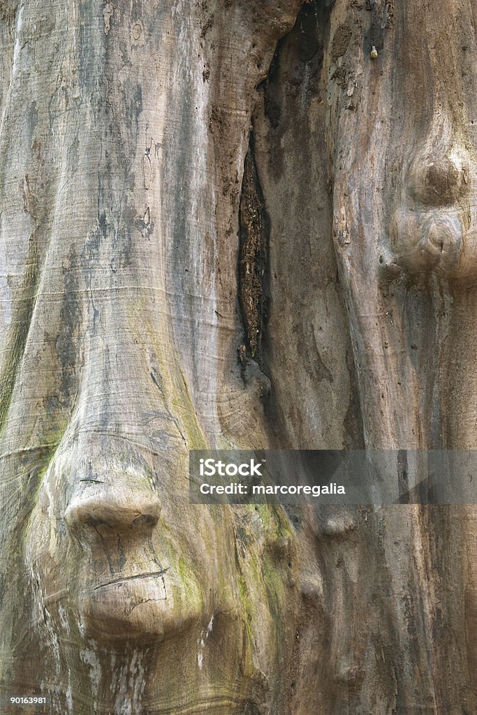 Tronco di legno con viso, Svezia - Foto stock royalty-free di Albero