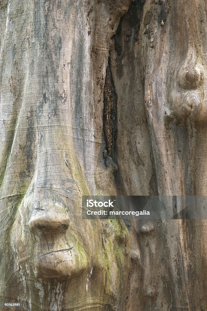 Tronco de madeira com rosto forma, Suécia - Royalty-free Assustador Foto de stock