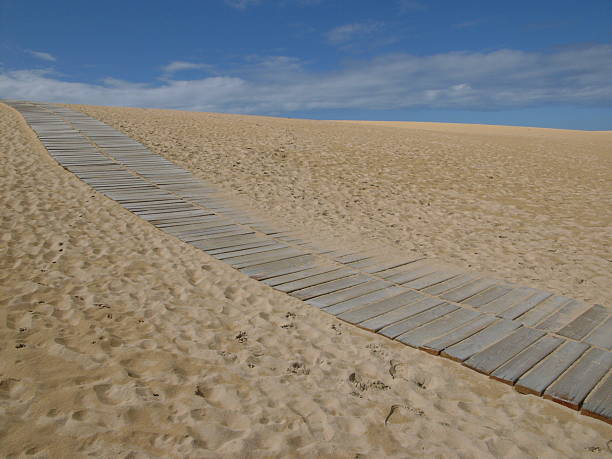 path path in the dune spirituality adventure searching tranquil scene stock pictures, royalty-free photos & images