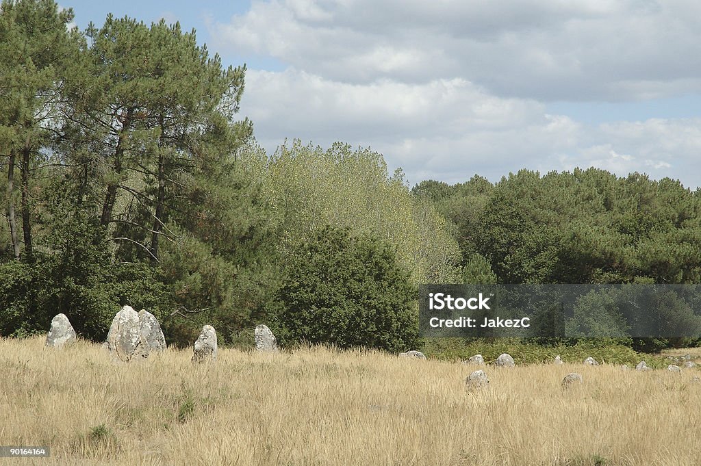 El Megaliths de Carnac (Francia - Foto de stock de Aire libre libre de derechos