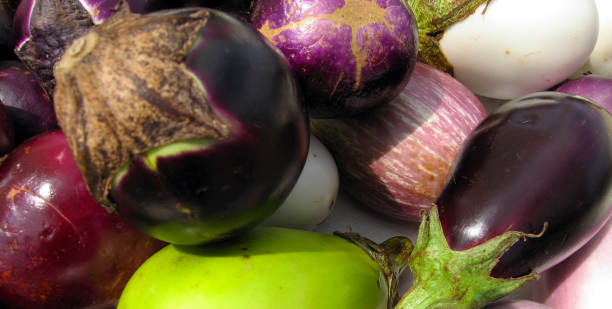 Assorted Eggplant stock photo
