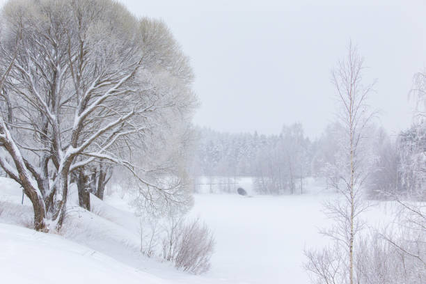istock photo of snowy 901642416
