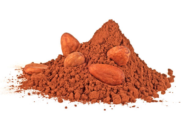 istock Cacao beans and powder isolated on white background 901642832