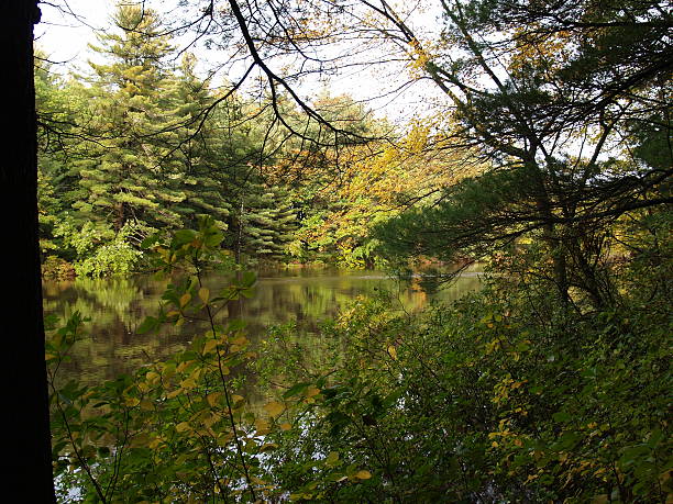 istock Connecticut fishing hole 4 90164339