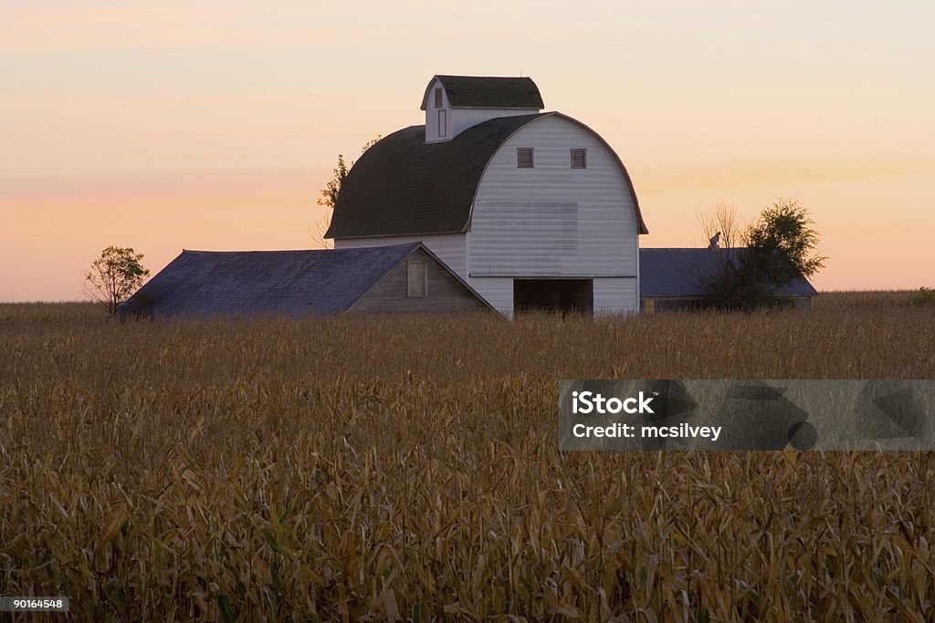 Iowa Corn Kinderbett bei Sonnenaufgang - Lizenzfrei Iowa Stock-Foto