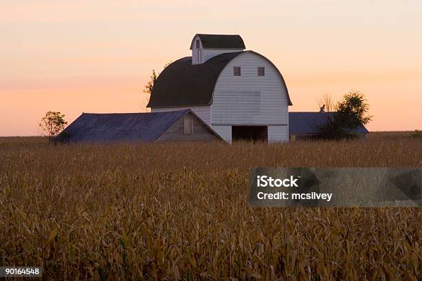 Iowa Corn Kinderbett Bei Sonnenaufgang Stockfoto und mehr Bilder von Iowa - Iowa, Scheune, Agrarbetrieb