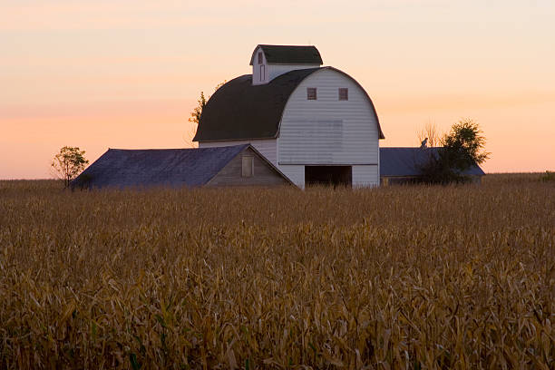 istock Iowa Corn Crib at Sunrise 90164548