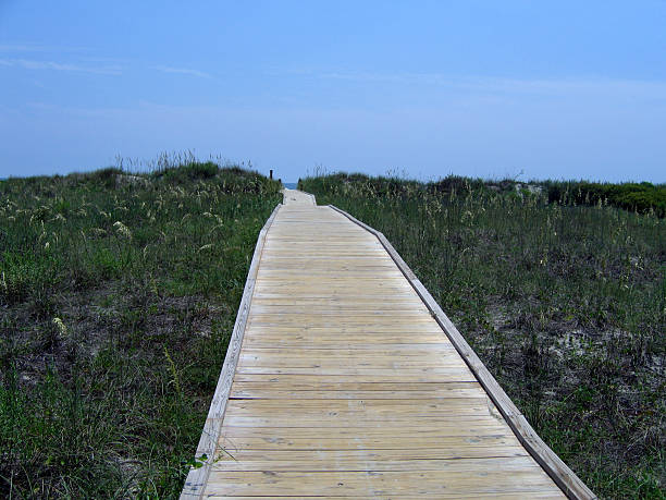 istock boardwalk to the ocean 90164610