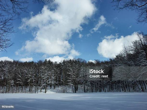 Snowy Zimy - zdjęcia stockowe i więcej obrazów Bez ludzi - Bez ludzi, Bezlistne drzewo, Chmura