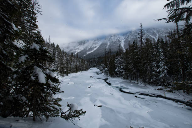 istock Glacier National Park in Winter 901647122
