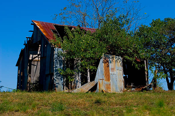 Shack Ruins stock photo